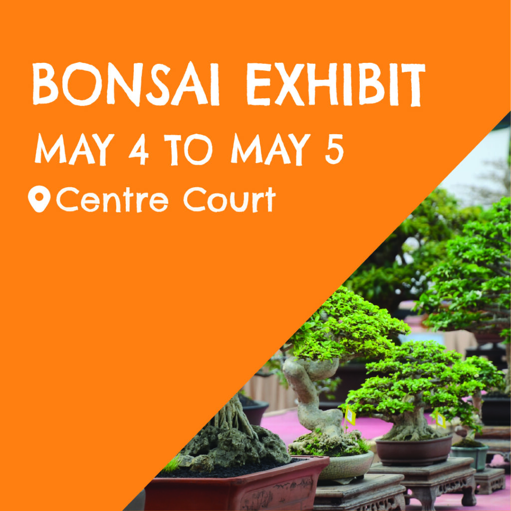 bonsai exhibit may 4 to may 5 lansdowne