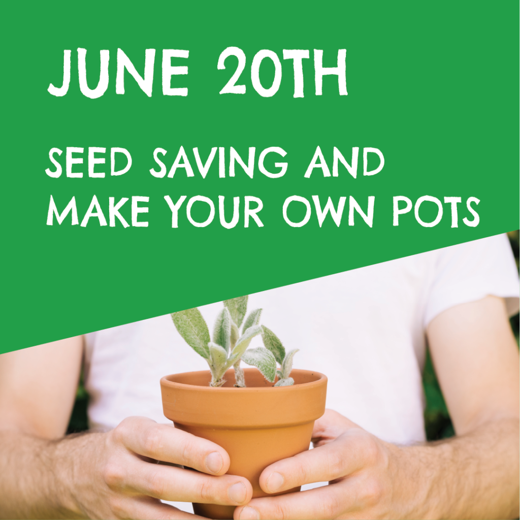 seed saving and make your own pots