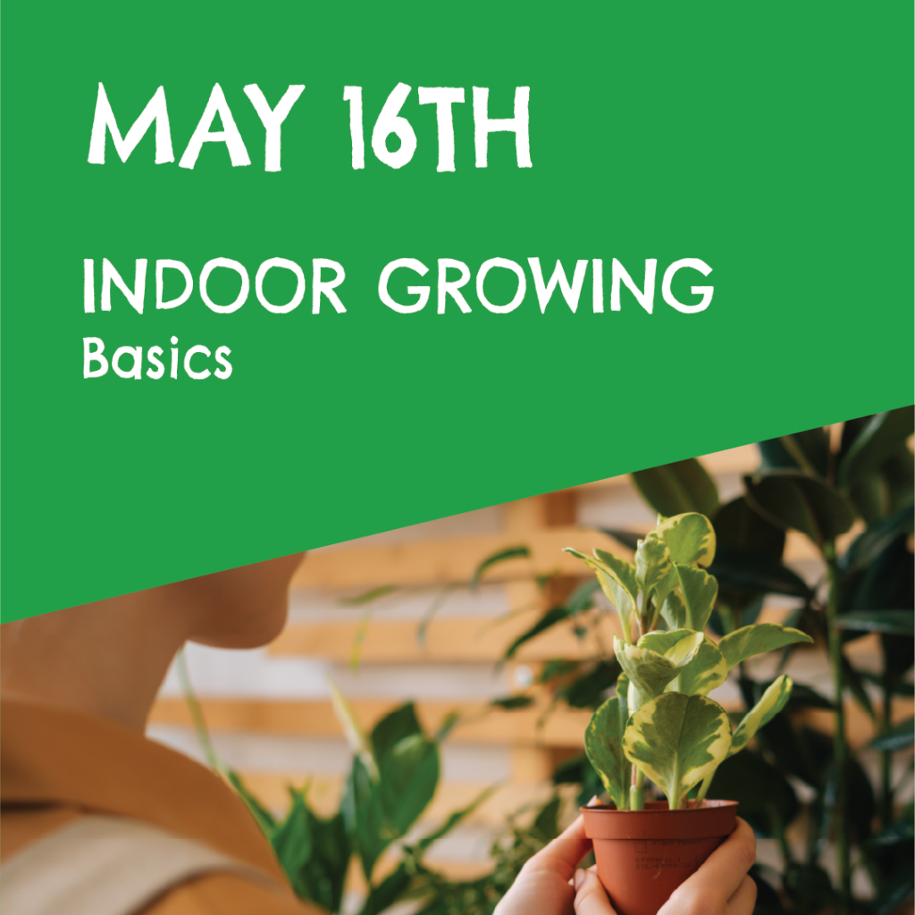 may 16th indoor growing basics