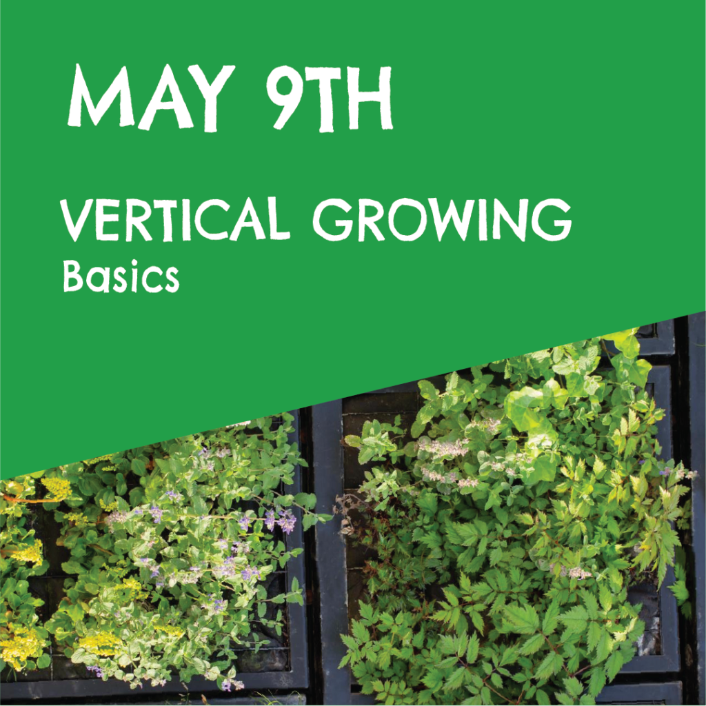 May 9th vertical growing basics
