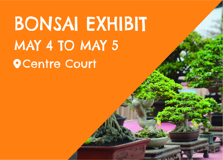 bonsai exihibit may 4 to may 5 centre court