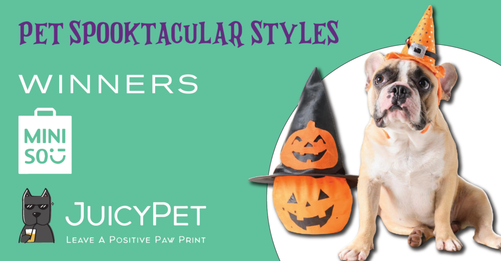 pet spooktacular styles winners miniso juicypet